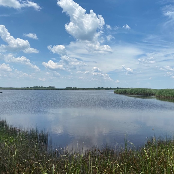 Eli! @RenegadeRevivalVintage & @LightlySaucedRetro - Picture 6 of 12